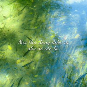 [21 Ngày Thịnh Vượng] Ngày 11: Sự chấp&nbsp;nhận