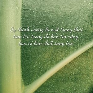 [21 Ngày Thịnh Vượng] Ngày 13: Quy luật Buông&nbsp;bỏ