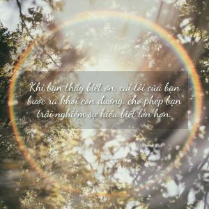 [21 Ngày Thịnh Vượng] Ngày 16: Lòng biết&nbsp;ơn