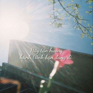 [21 Ngày Thịnh Vượng] Ngày 14: Quy luật Mục đích cuộc&nbsp;đời