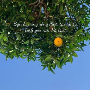 [21 Ngày Thịnh Vượng] Ngày 20: Sống xa&nbsp;hoa