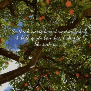 [21 Ngày Thịnh Vượng] Ngày 21: Ngày cuối&nbsp;cùng