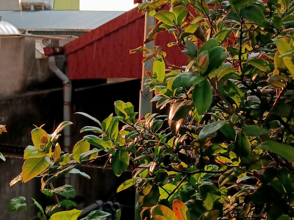 Tất cả đã hạ màn, xin cảm&nbsp;ơn