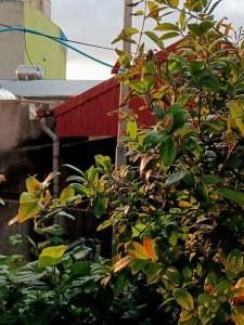 Tất cả đã hạ màn, xin cảm&nbsp;ơn