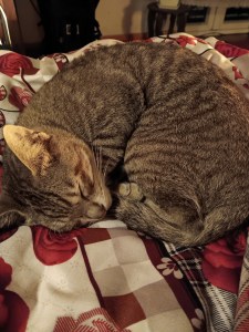 N2: Viết như thể không có ai nhìn | Series MỘT NĂM CUỐI ĐỜI&nbsp;MÌNH