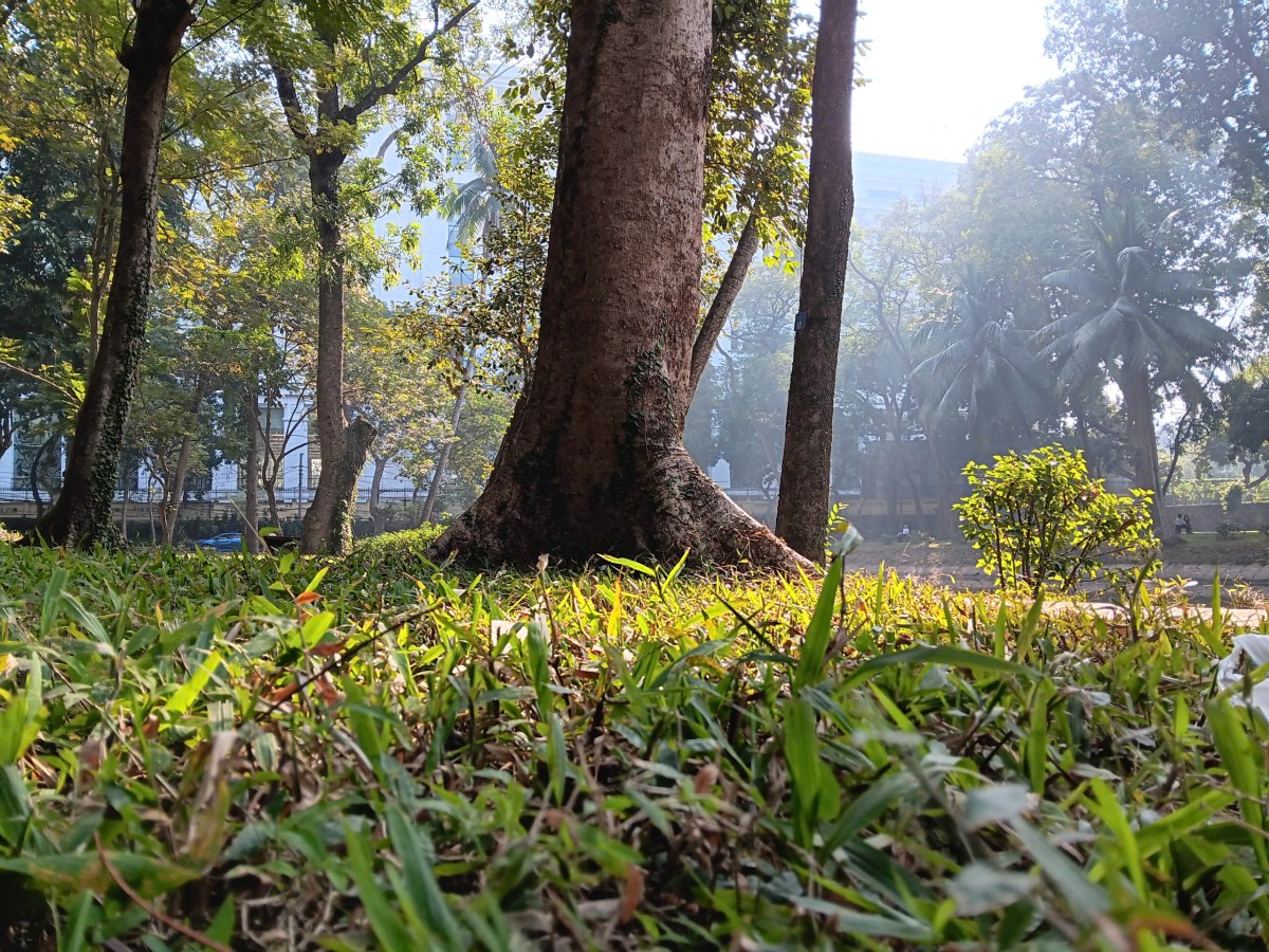 N10: “Có lẽ mình còn sống vì mình chưa nghĩ dừng lại” | Series MỘT NĂM CUỐI ĐỜI&nbsp;MÌNH