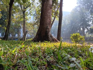 N10: “Có lẽ mình còn sống vì mình chưa nghĩ dừng lại” | Series MỘT NĂM CUỐI ĐỜI&nbsp;MÌNH